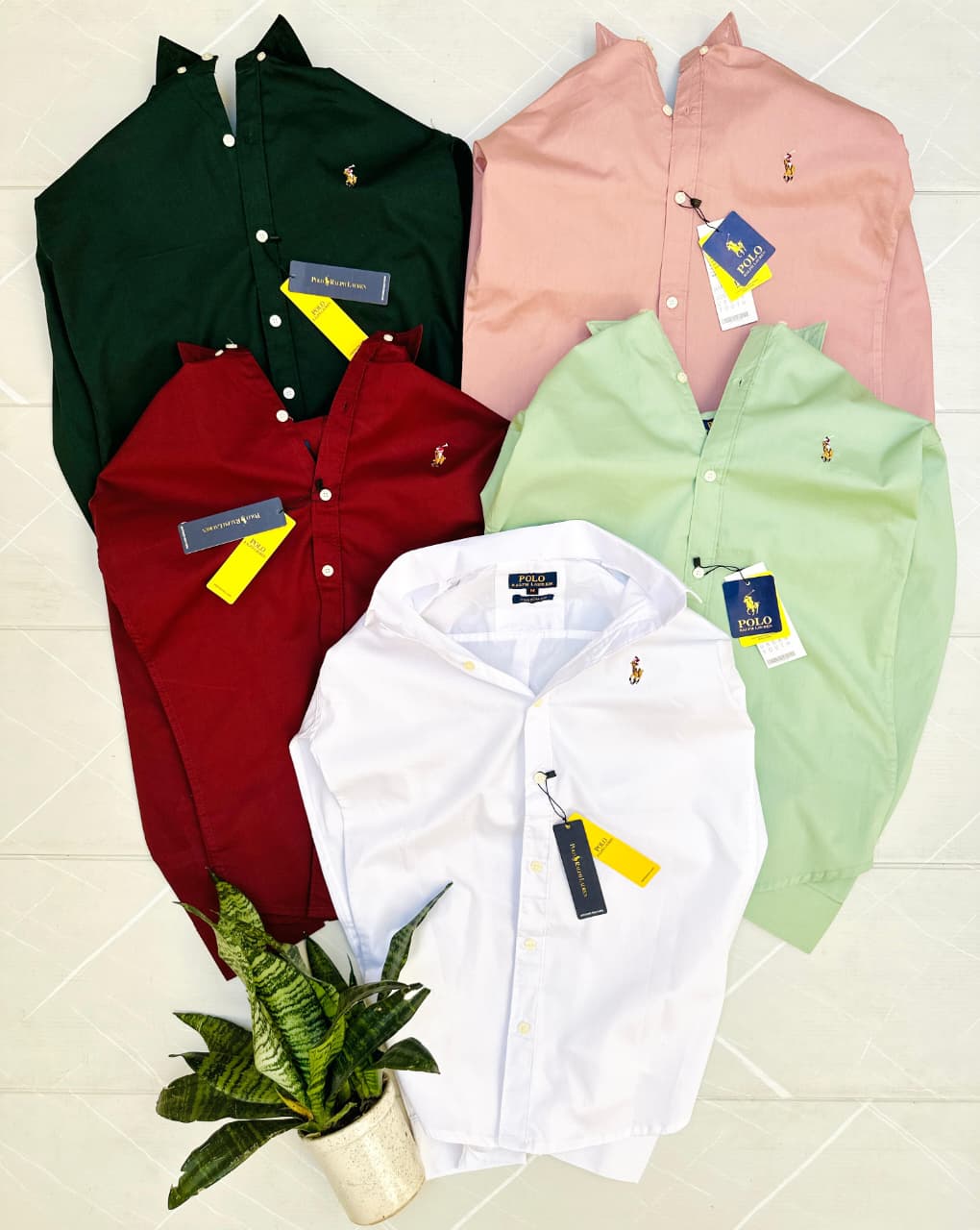 Mens shirt pure cotton